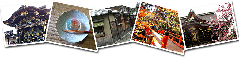 Kyoto Private Tour for Half Day